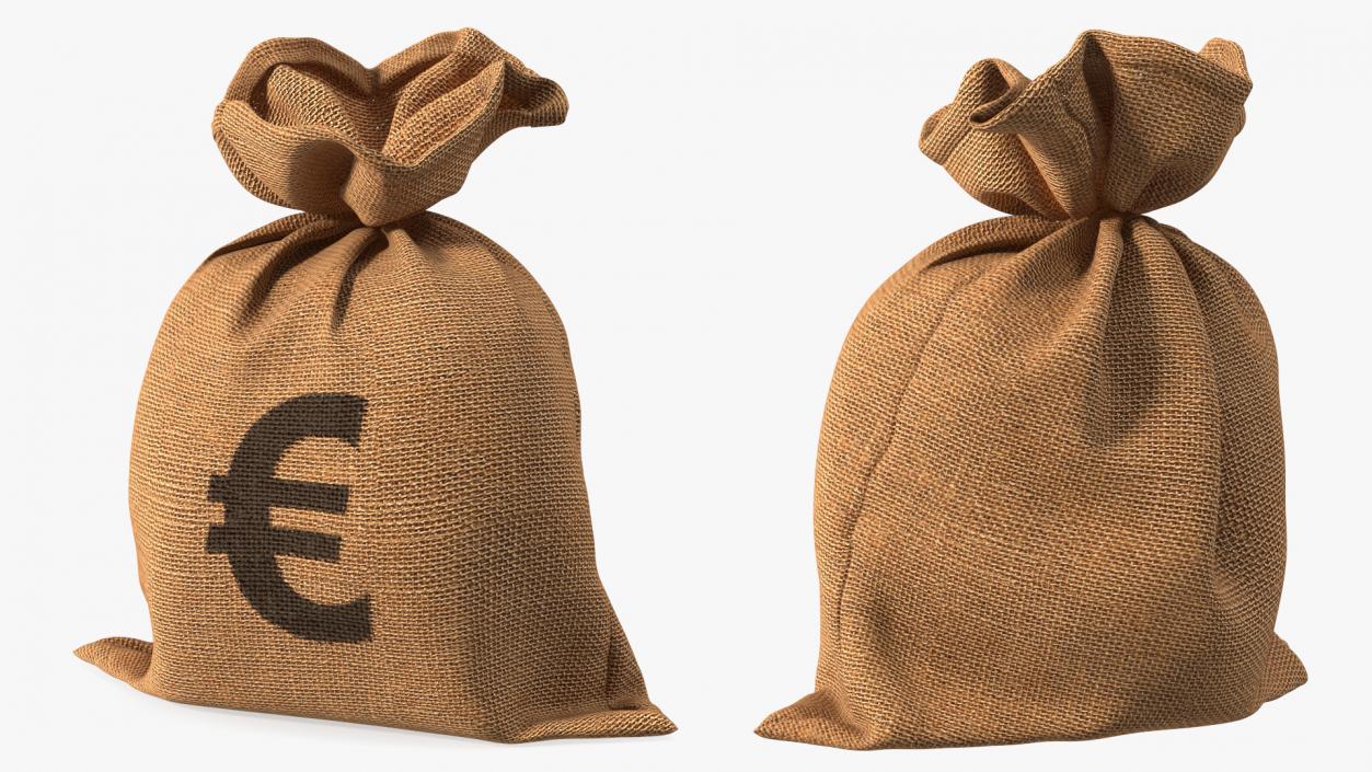 3D Euro Currency Sack model