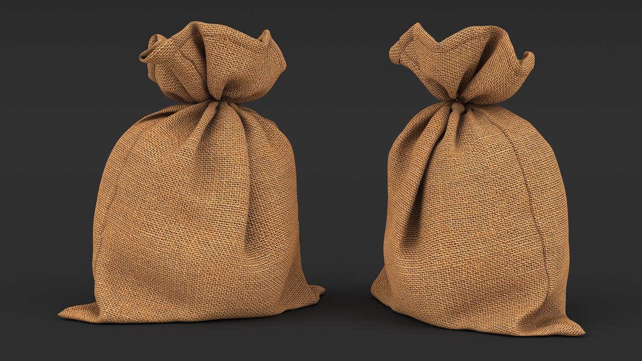 3D Euro Currency Sack model