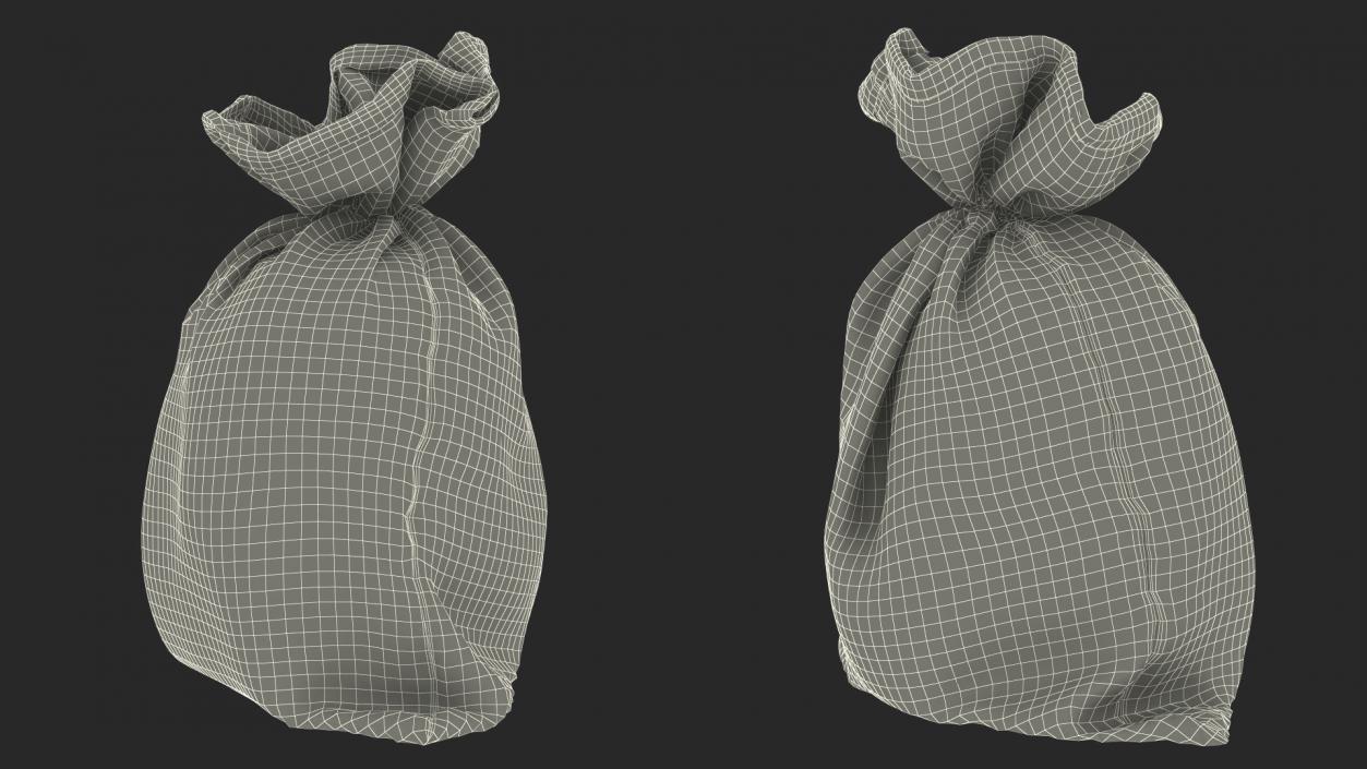 3D Euro Currency Sack model