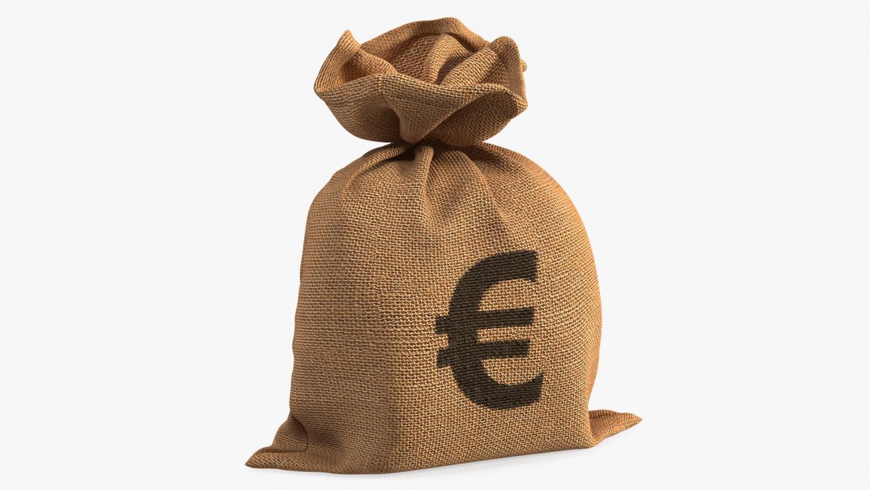 3D Euro Currency Sack model