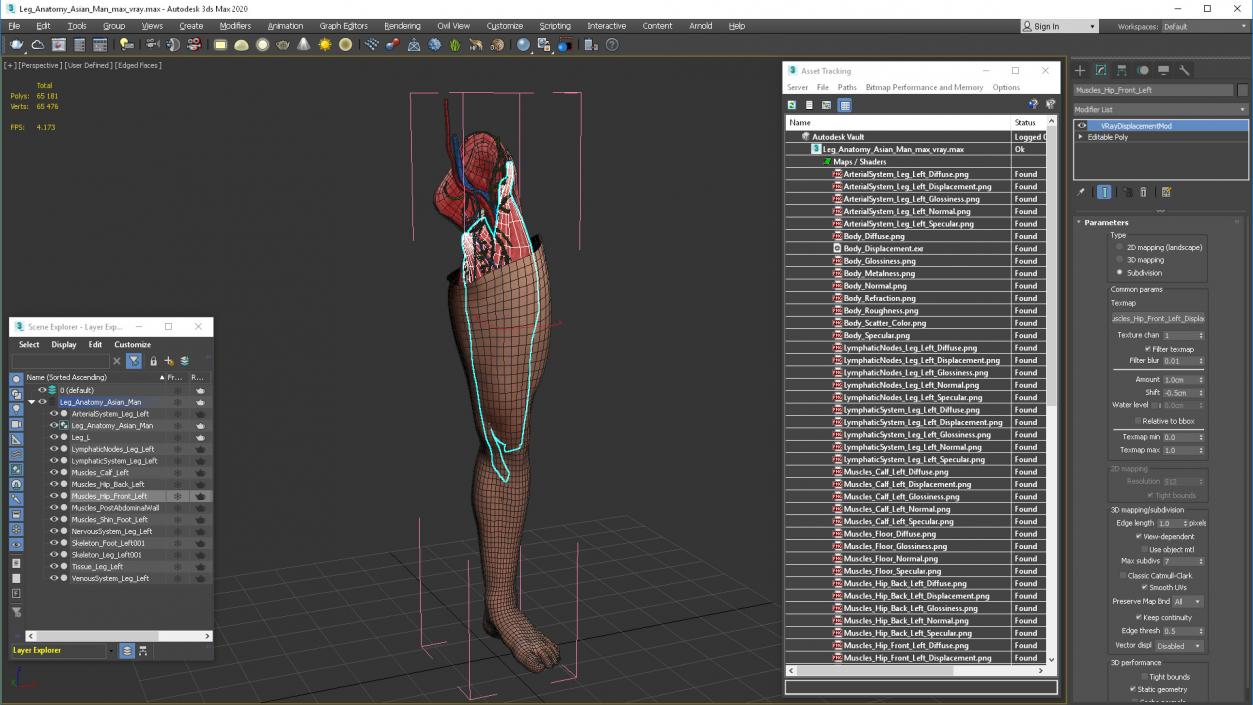 3D Leg Anatomy Asian Man