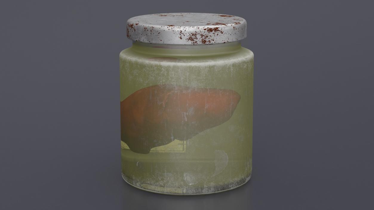 3D model Human Liver Organ in a Old Jar