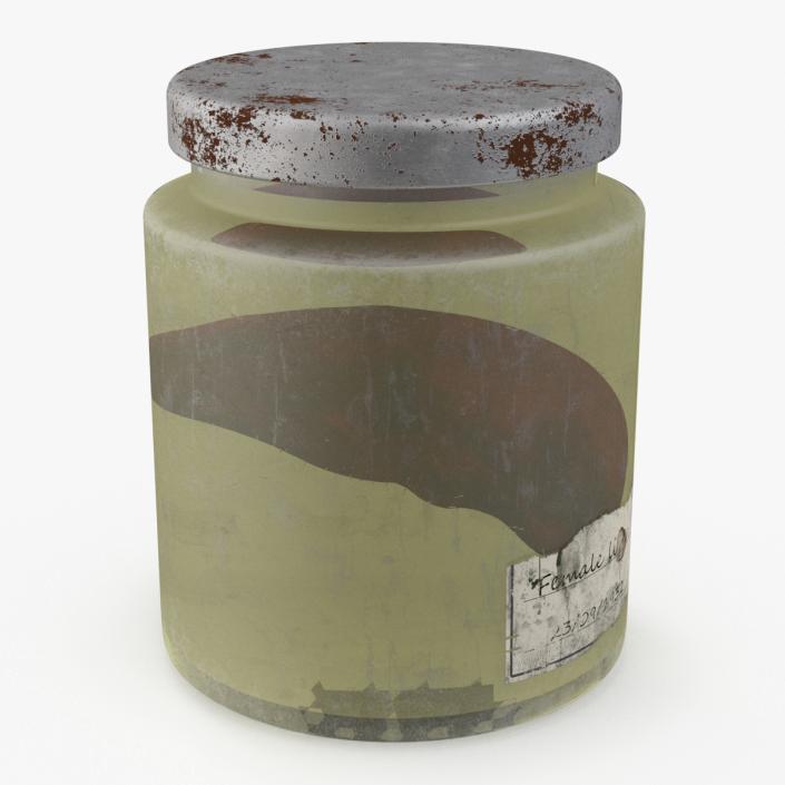 3D model Human Liver Organ in a Old Jar