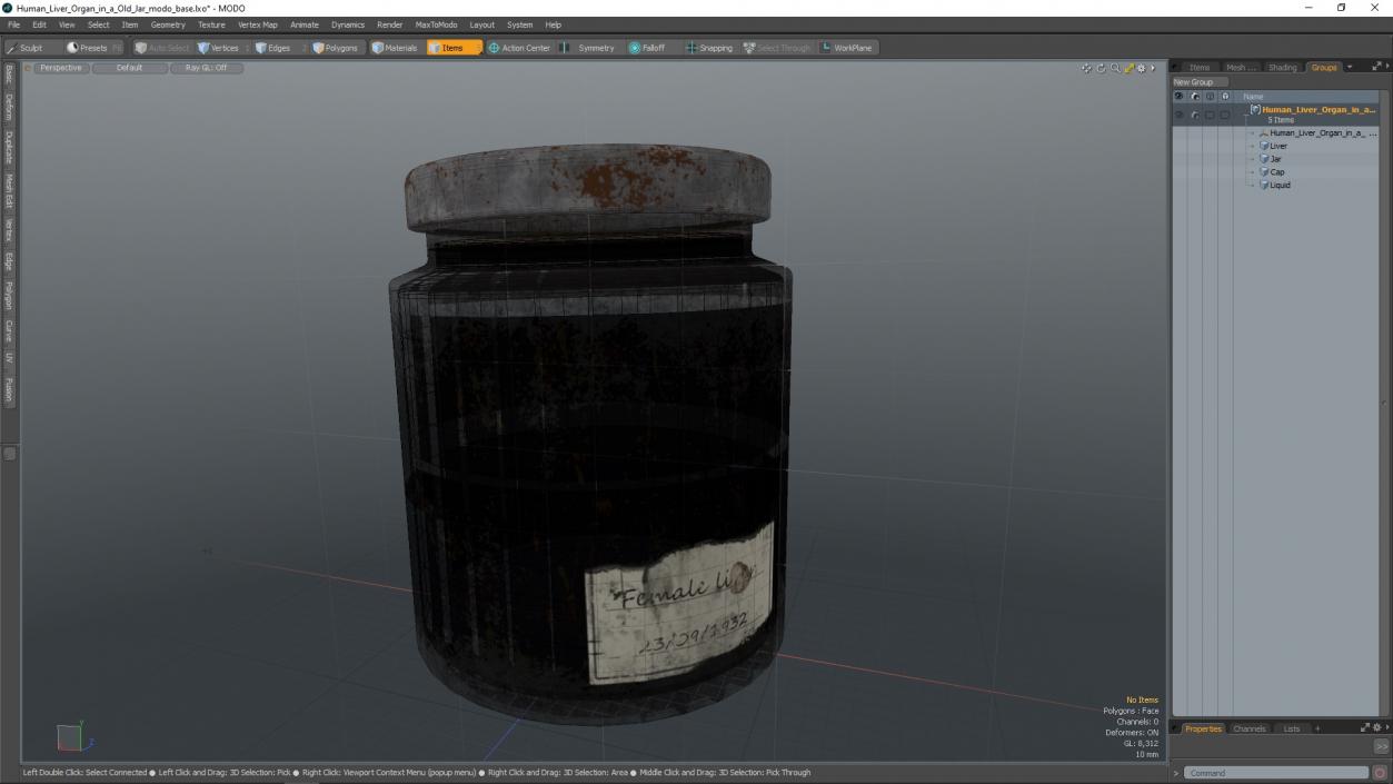 3D model Human Liver Organ in a Old Jar