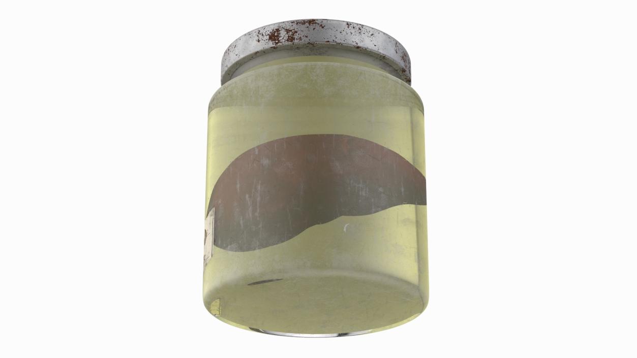 3D model Human Liver Organ in a Old Jar