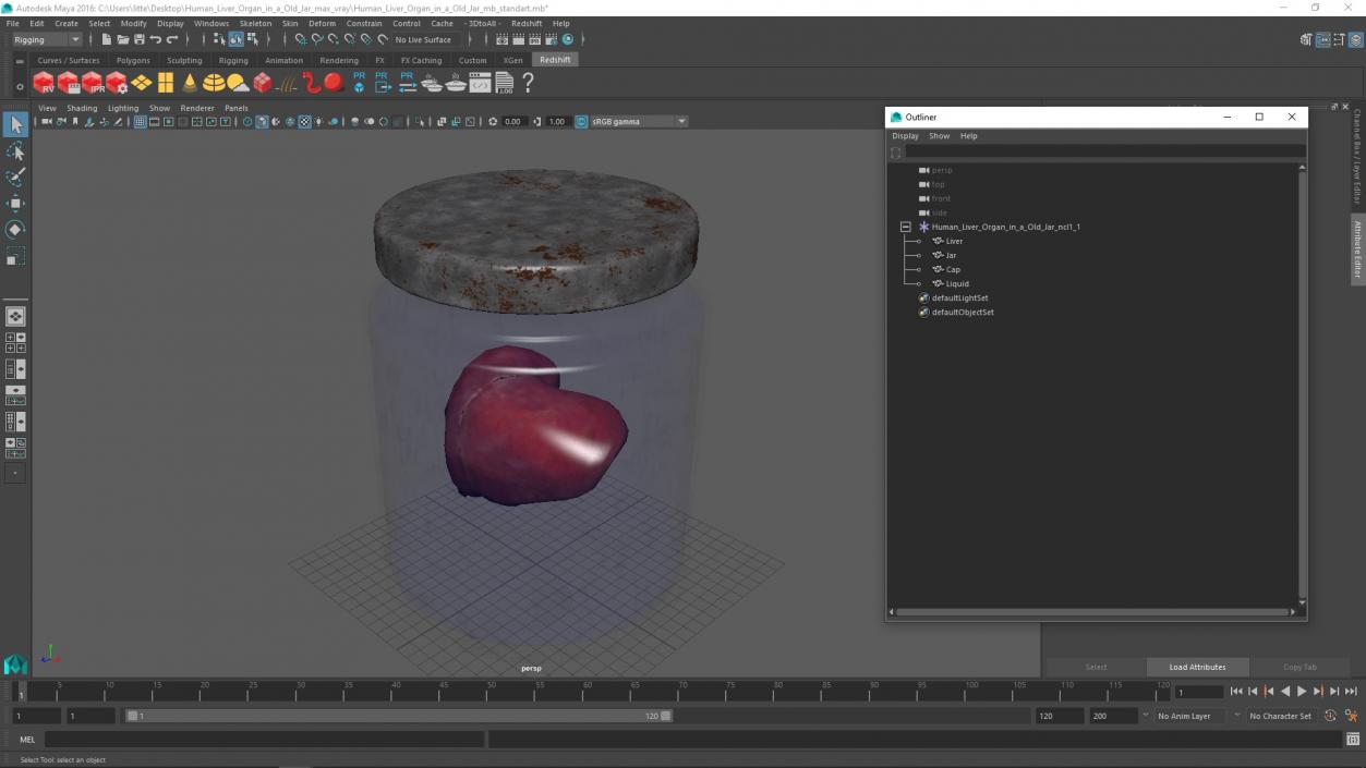 3D model Human Liver Organ in a Old Jar