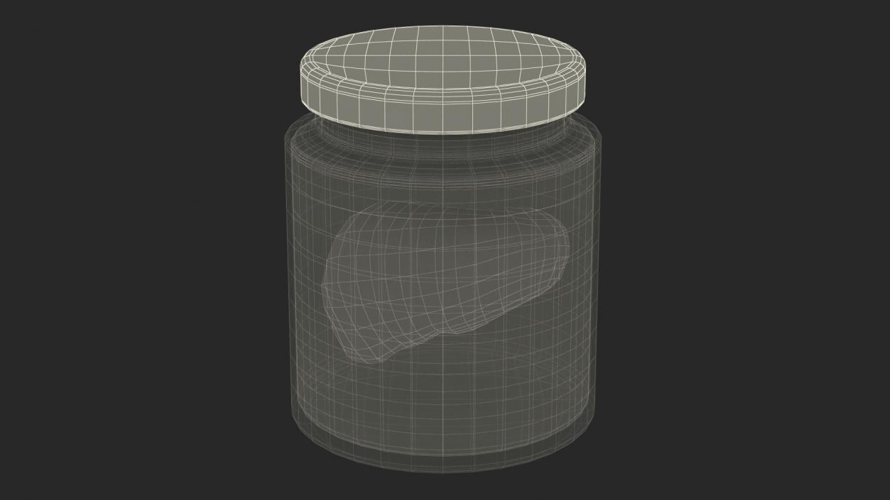 3D model Human Liver Organ in a Old Jar