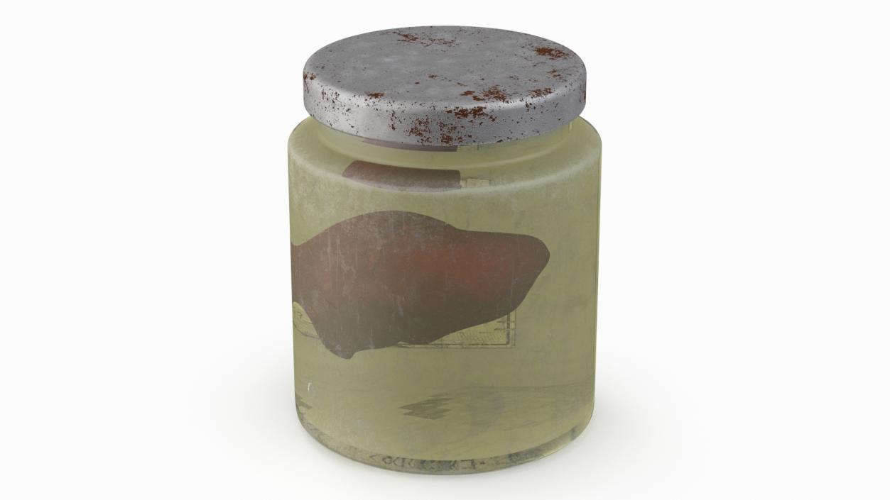 3D model Human Liver Organ in a Old Jar