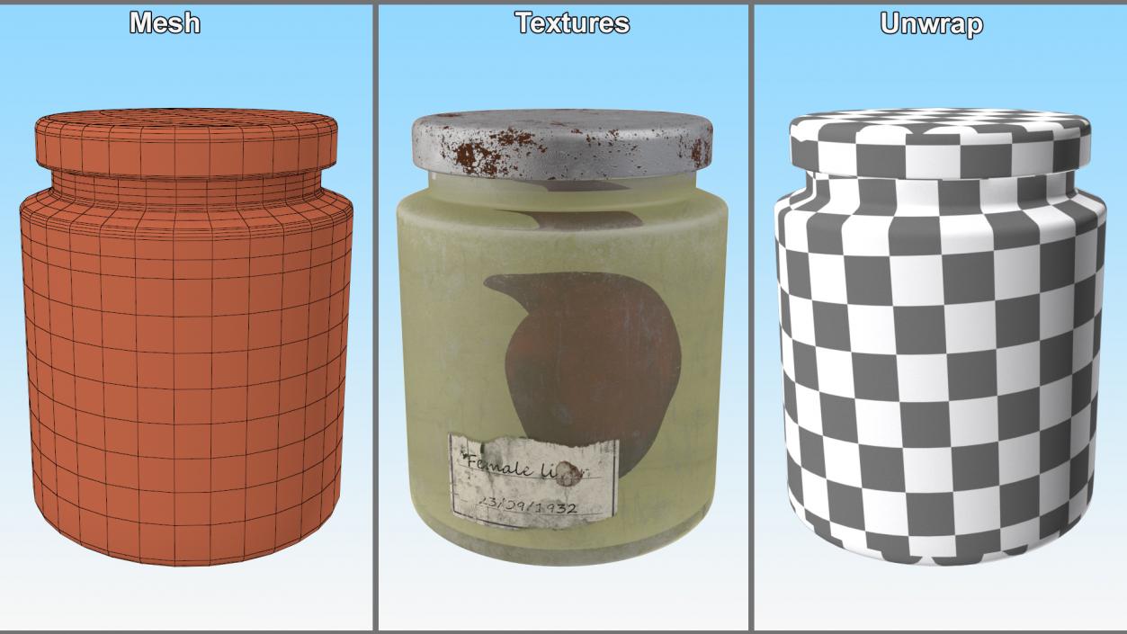 3D model Human Liver Organ in a Old Jar