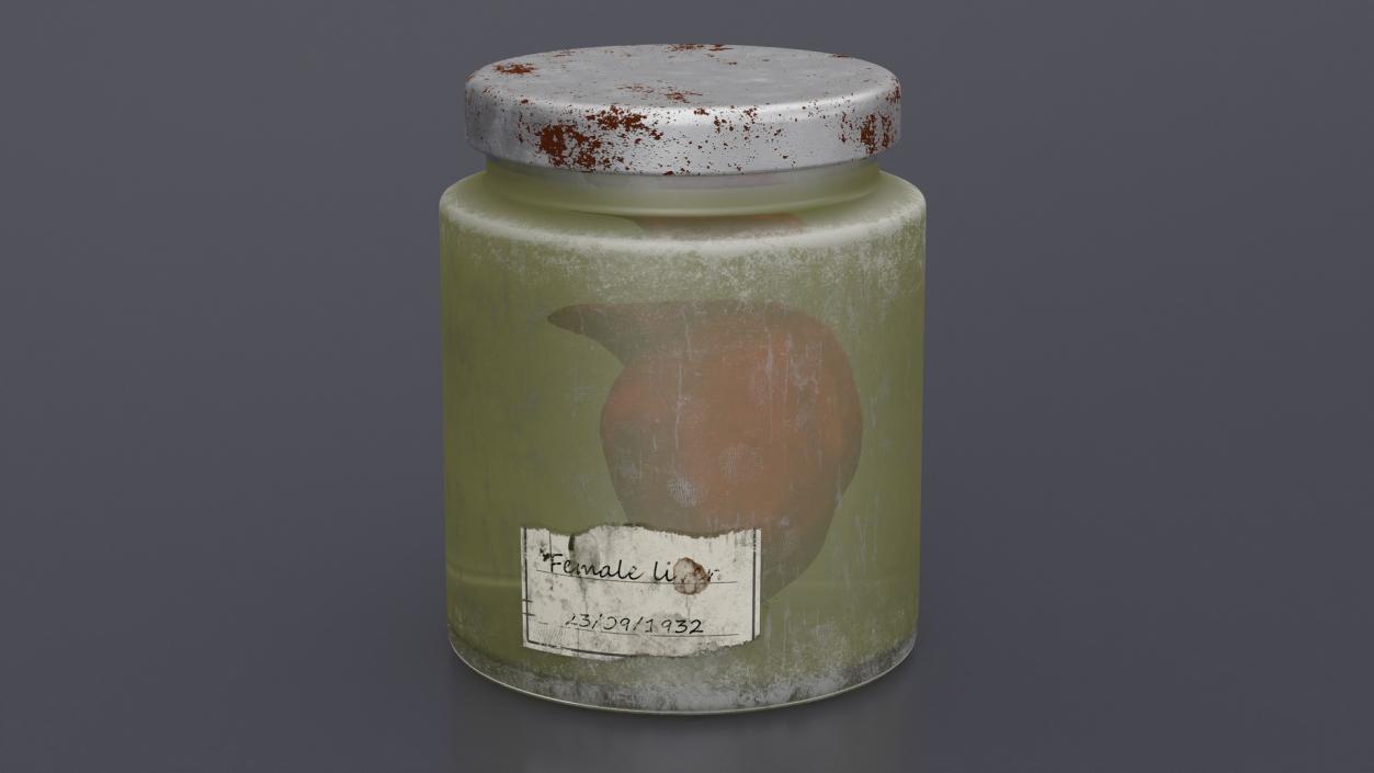 3D model Human Liver Organ in a Old Jar