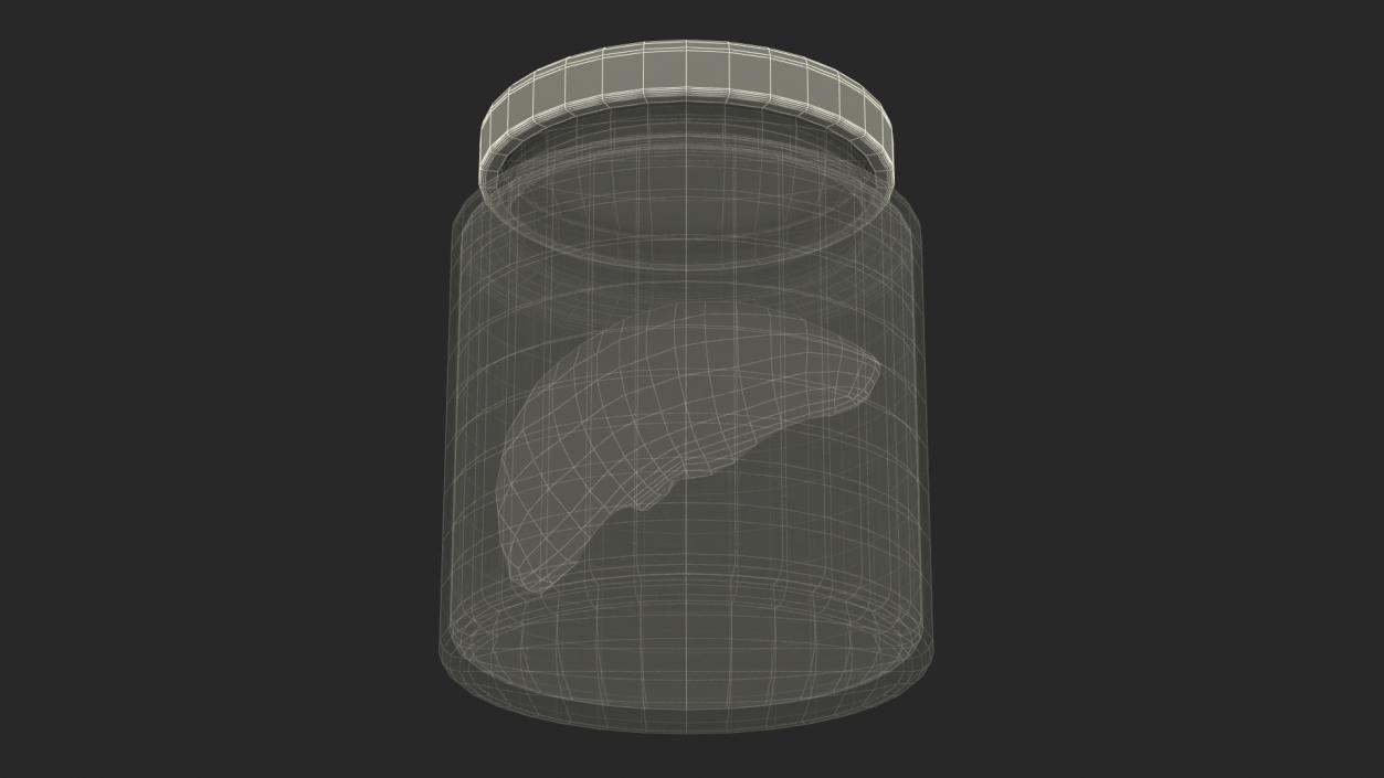 3D model Human Liver Organ in a Old Jar