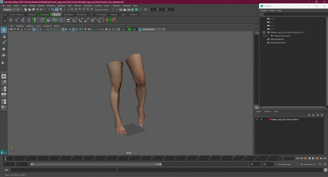 Female Legs and Feet Position 3D model