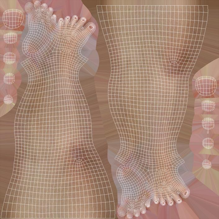 Female Legs and Feet Position 3D model