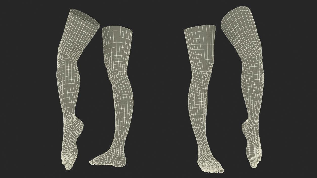 Female Legs and Feet Position 3D model