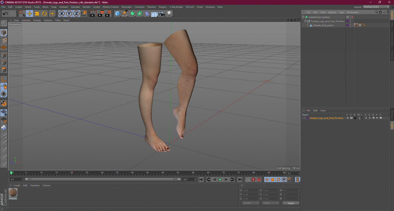 Female Legs and Feet Position 3D model