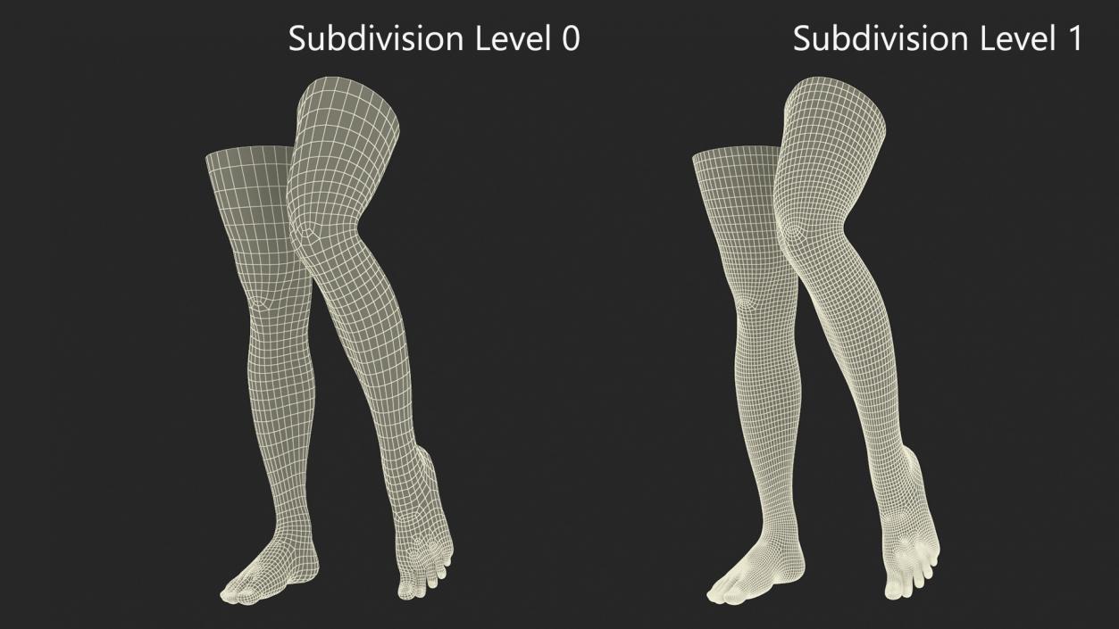 Female Legs and Feet Position 3D model