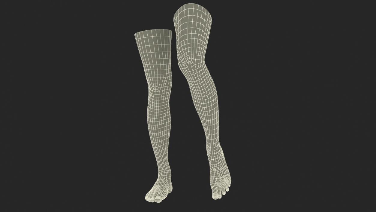 Female Legs and Feet Position 3D model