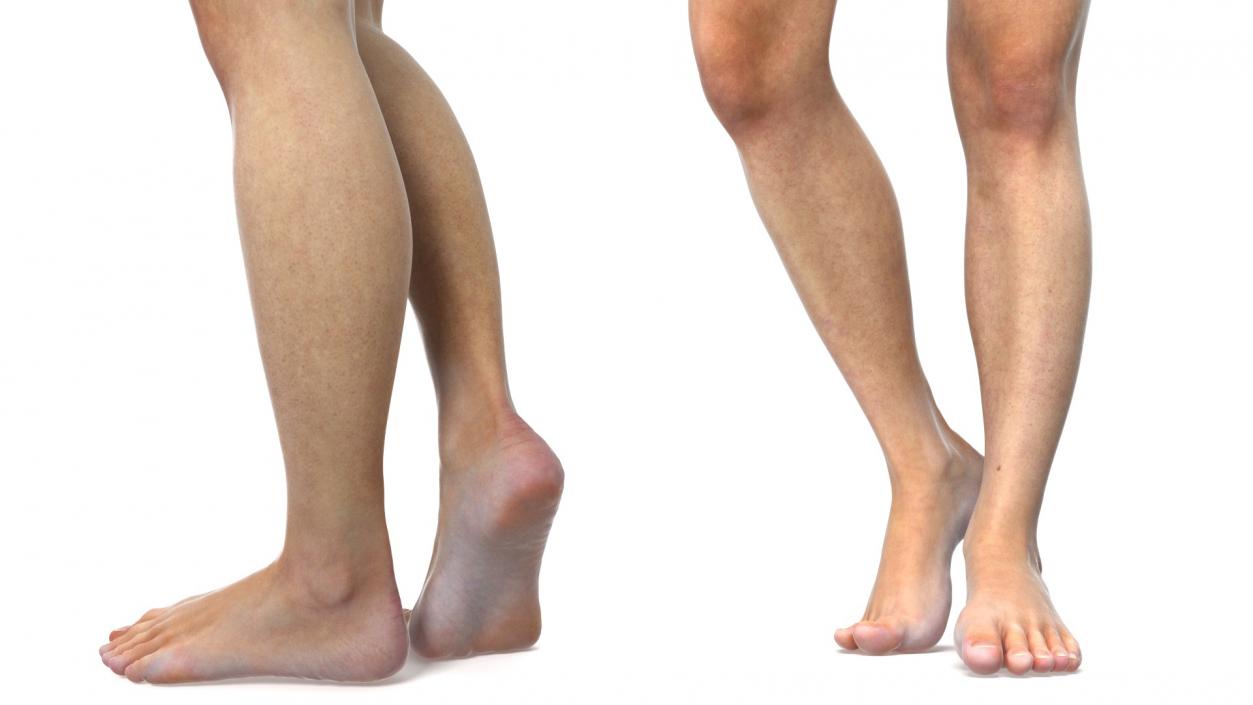 Female Legs and Feet Position 3D model