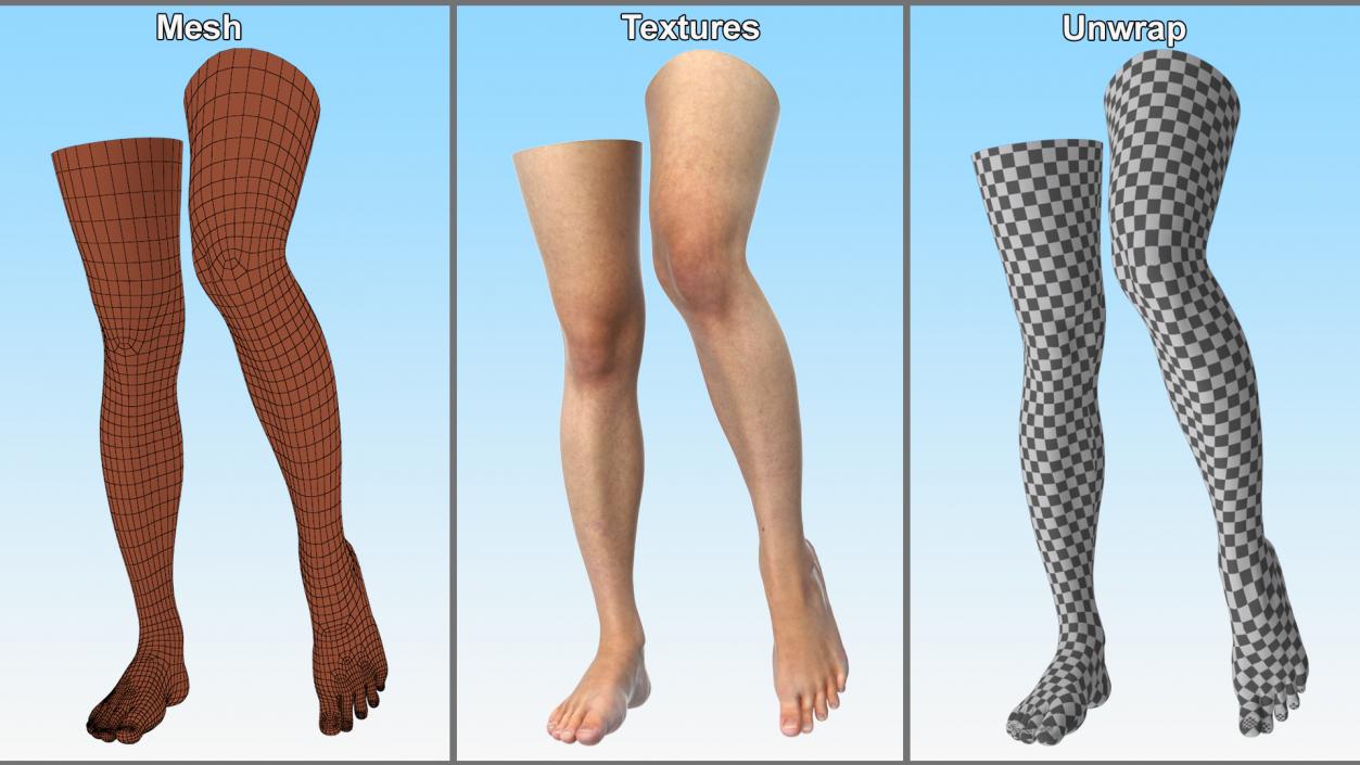 Female Legs and Feet Position 3D model