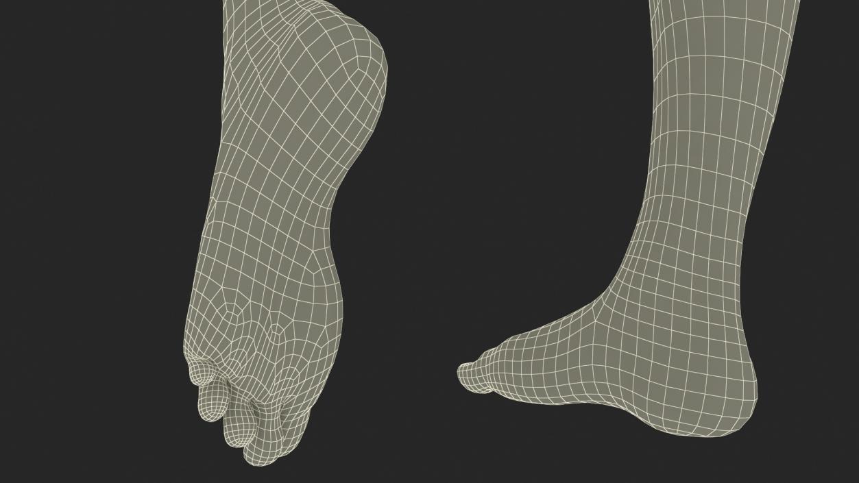 Female Legs and Feet Position 3D model