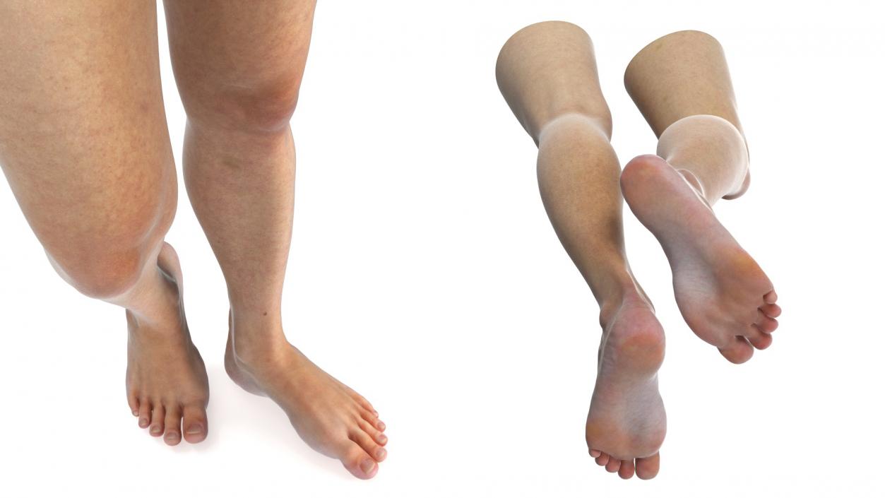 Female Legs and Feet Position 3D model