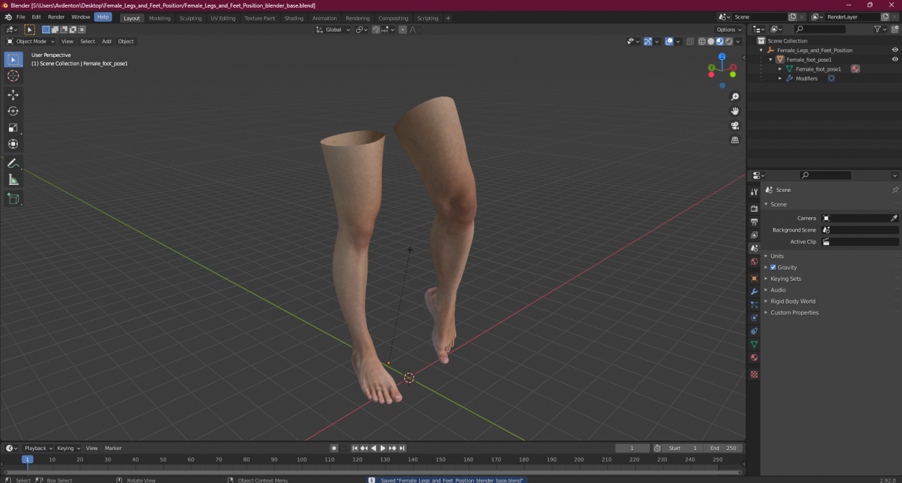 Female Legs and Feet Position 3D model