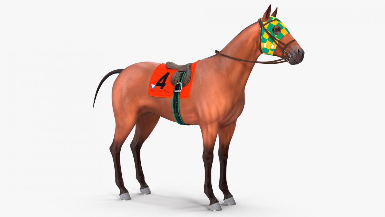 3D model Bay Racehorse Rigged