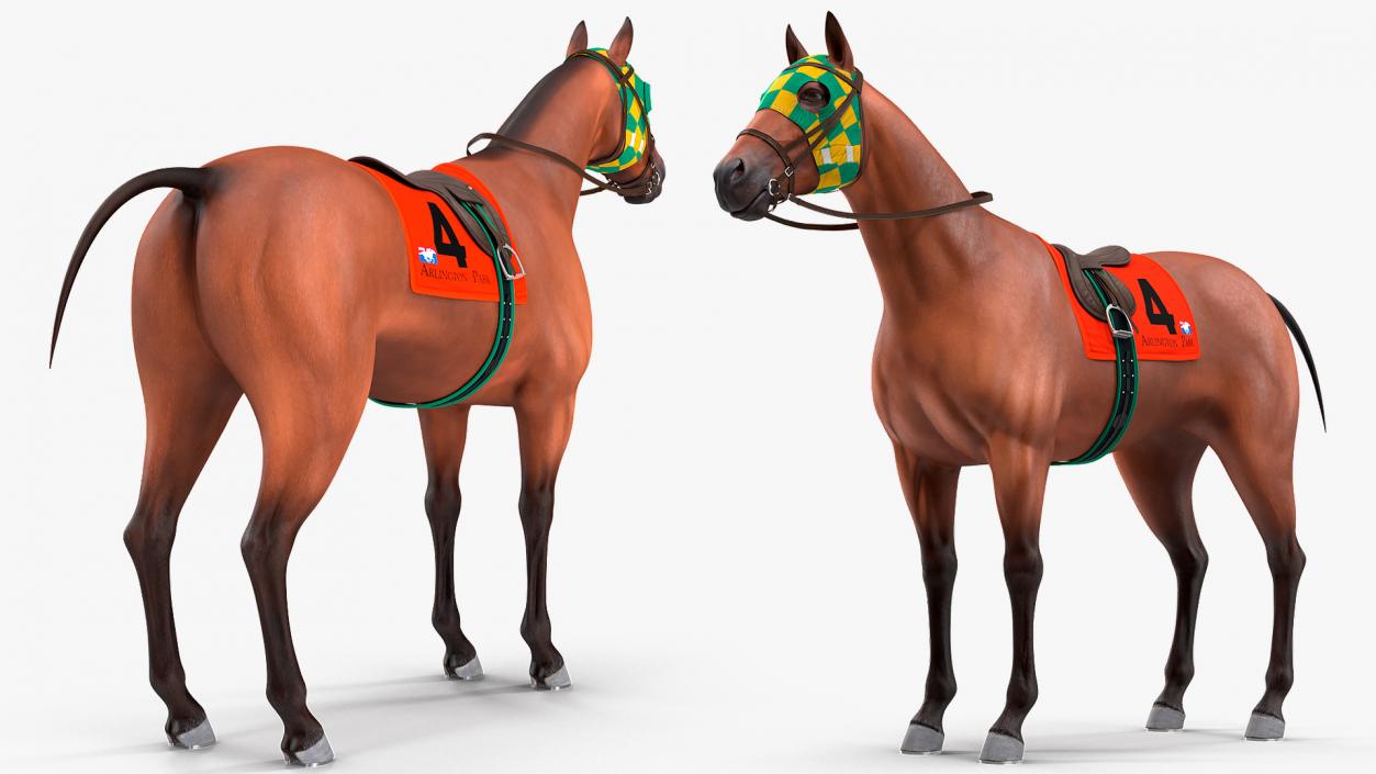 3D model Bay Racehorse Rigged