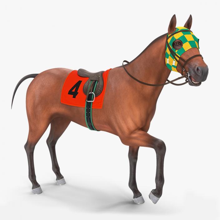 3D model Bay Racehorse Rigged