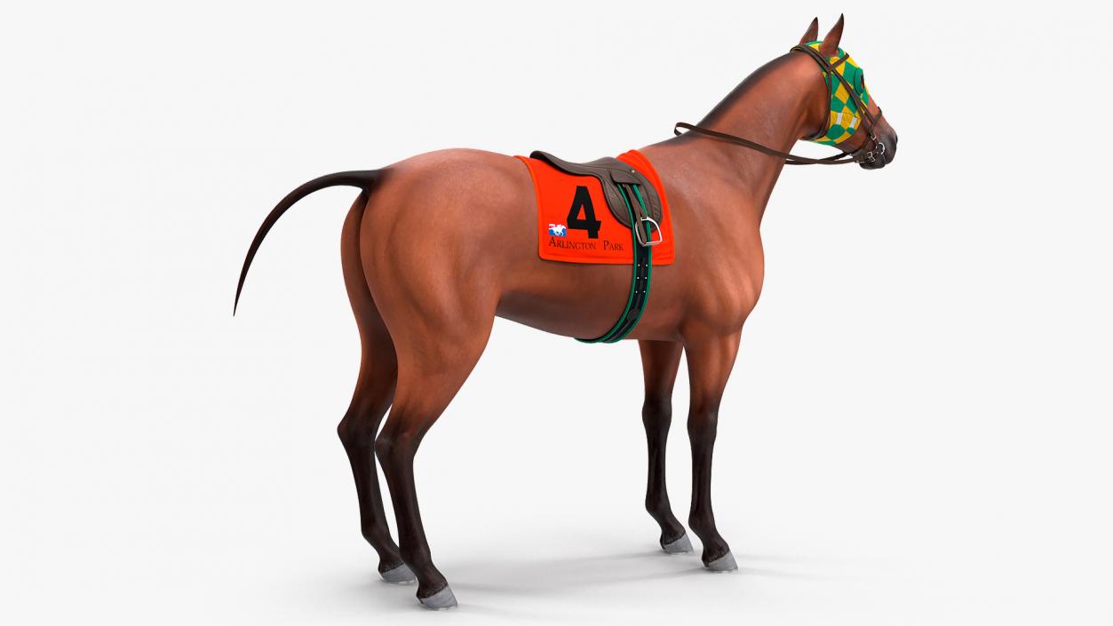 3D model Bay Racehorse Rigged