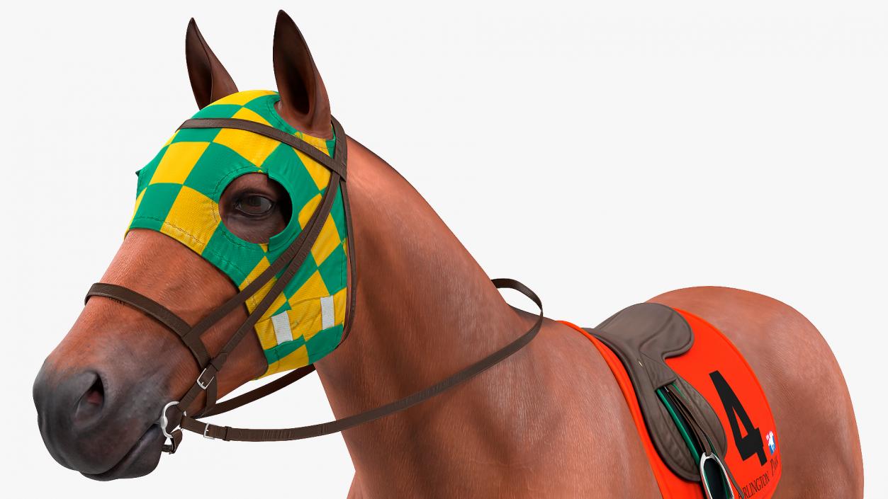 3D model Bay Racehorse Rigged