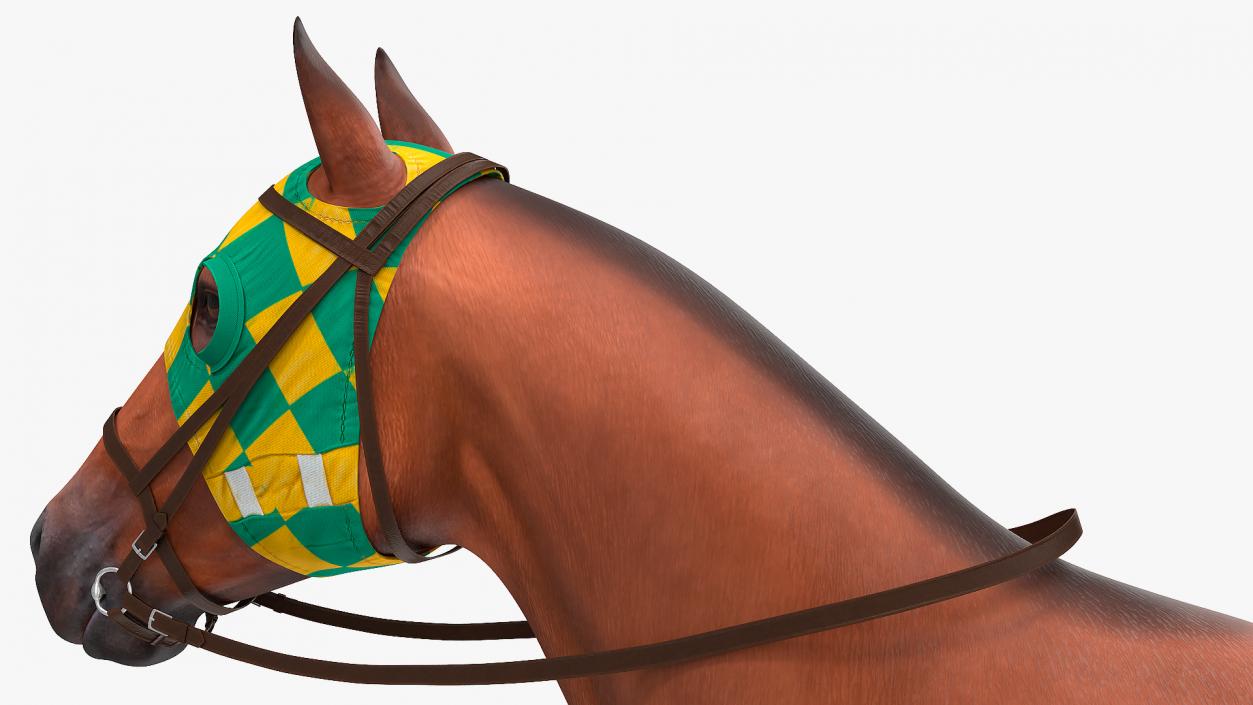 3D model Bay Racehorse Rigged