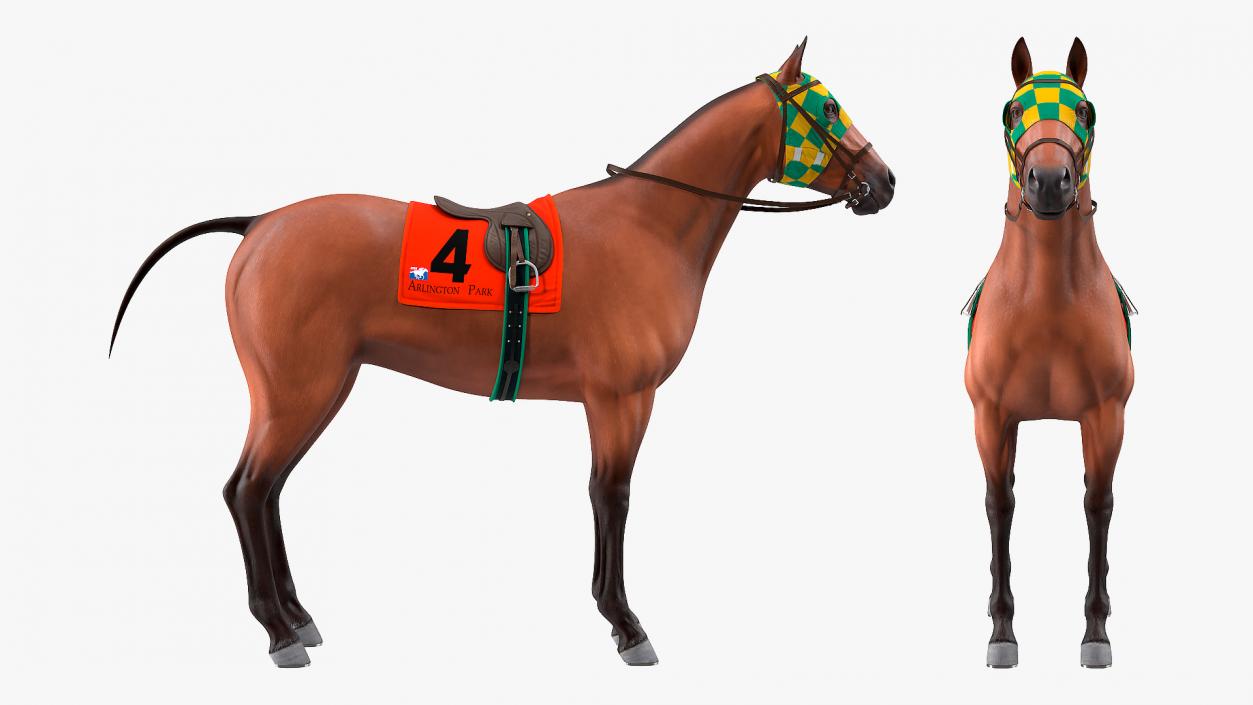 3D model Bay Racehorse Rigged