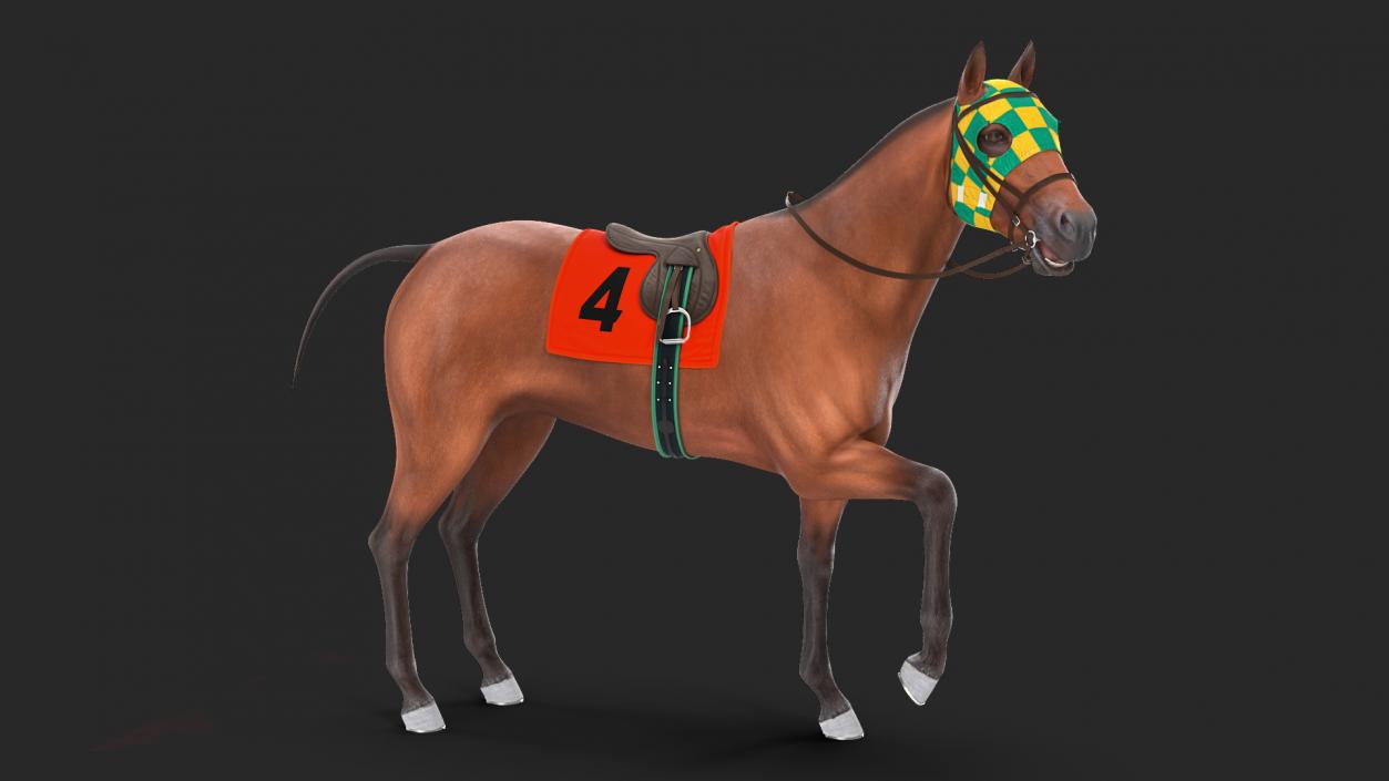 3D model Bay Racehorse Rigged