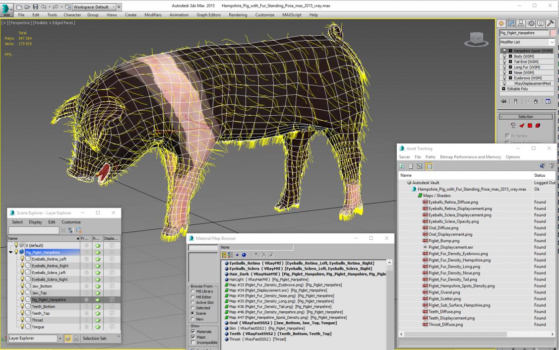 3D Hampshire Pig Piglet with Fur Standing Pose model