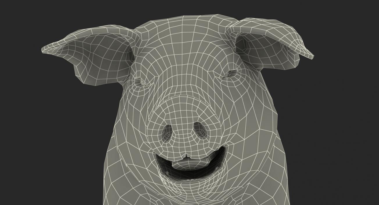 3D Hampshire Pig Piglet with Fur Standing Pose model