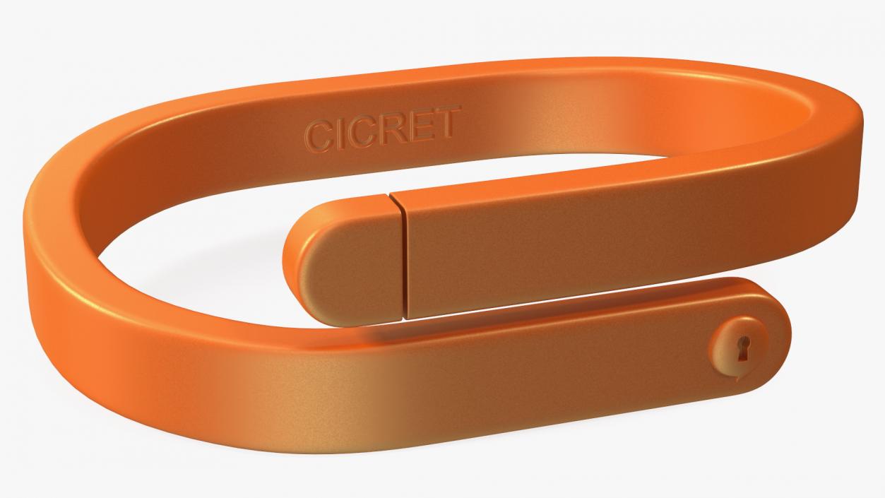 3D Hand Wearing Cicret Bracelet model