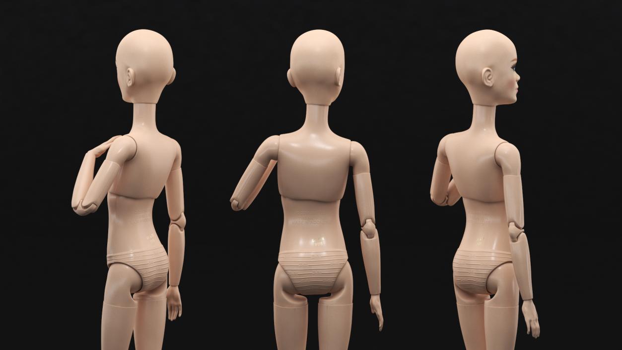 3D Nude Barbie Dolls Collection model