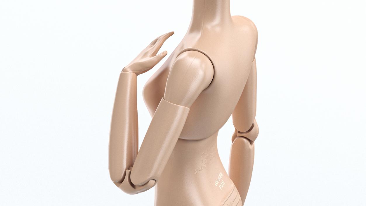 3D Nude Barbie Dolls Collection model