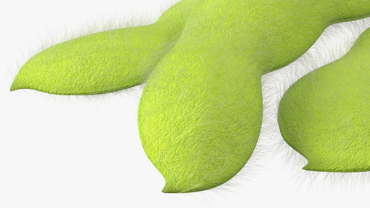 3D Edamame Green Soybeans Fur