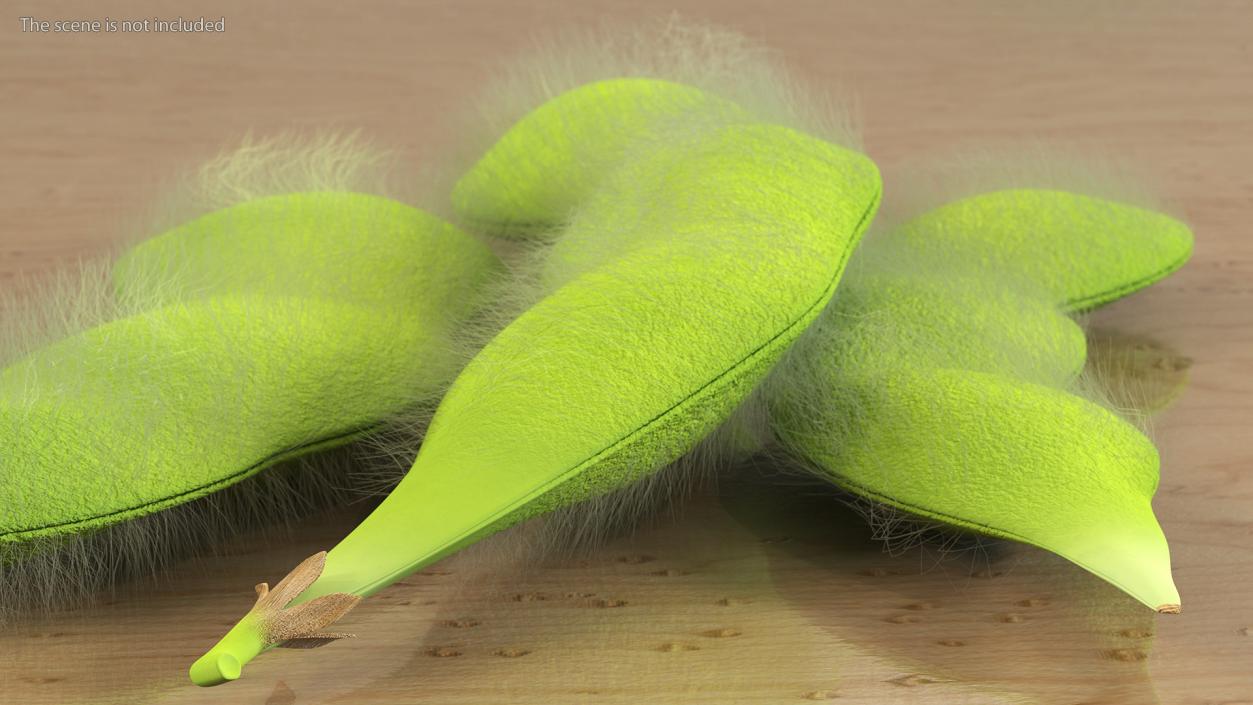 3D Edamame Green Soybeans Fur