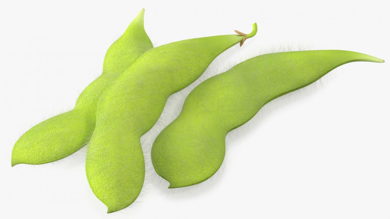 3D Edamame Green Soybeans Fur