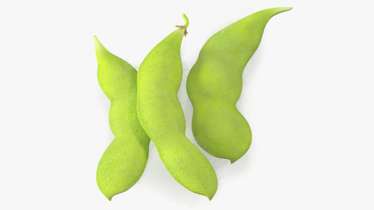 3D Edamame Green Soybeans Fur