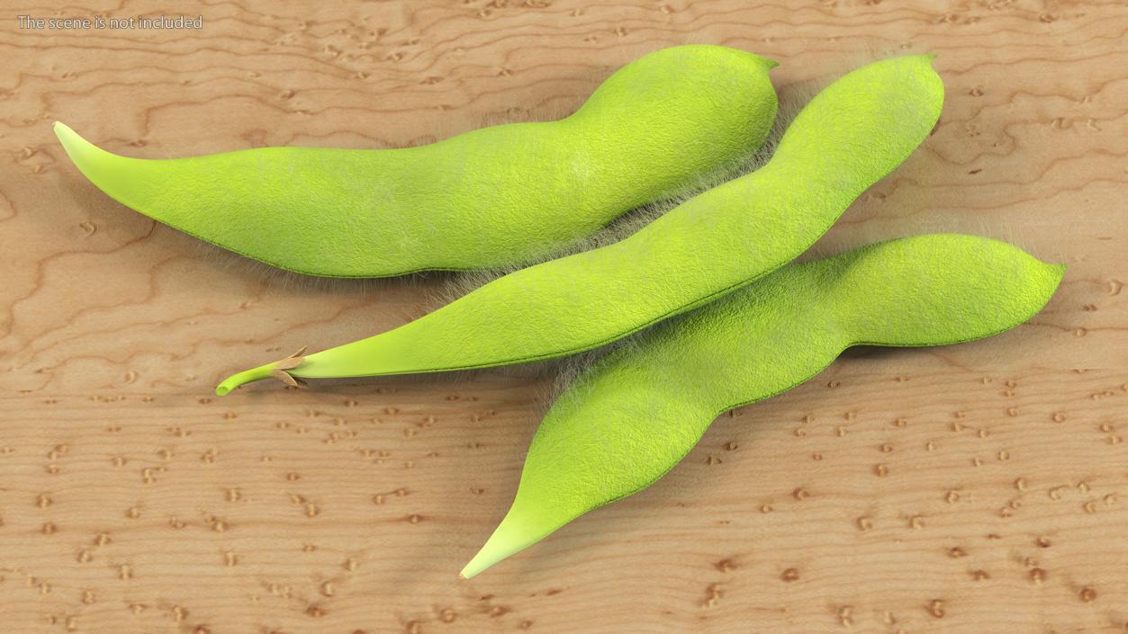 3D Edamame Green Soybeans Fur