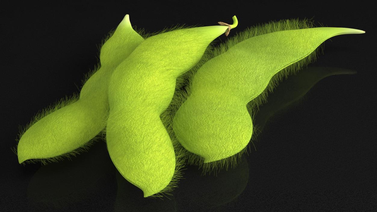 3D Edamame Green Soybeans Fur