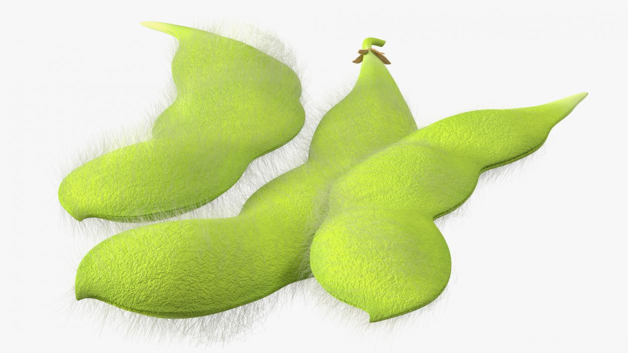 3D Edamame Green Soybeans Fur