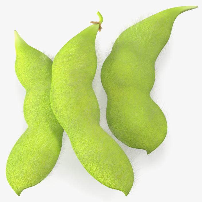 3D Edamame Green Soybeans Fur