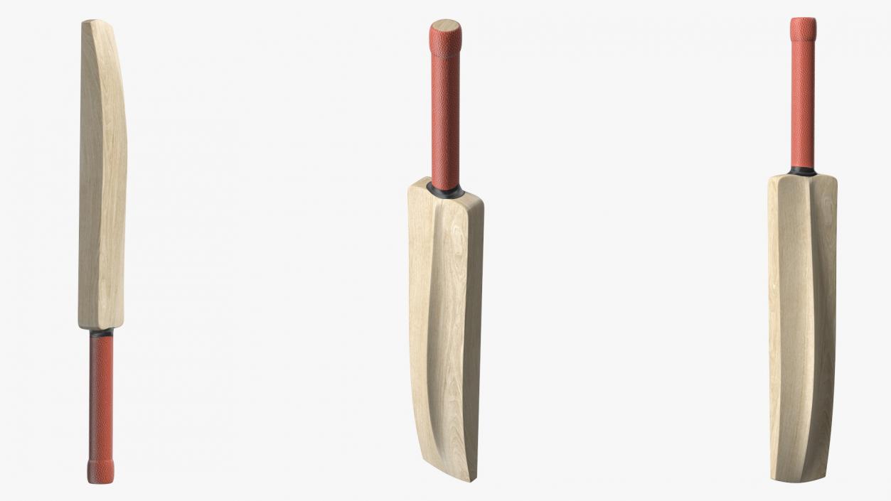 Classic Cricket Bat 3D model