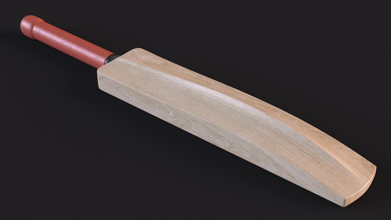 Classic Cricket Bat 3D model