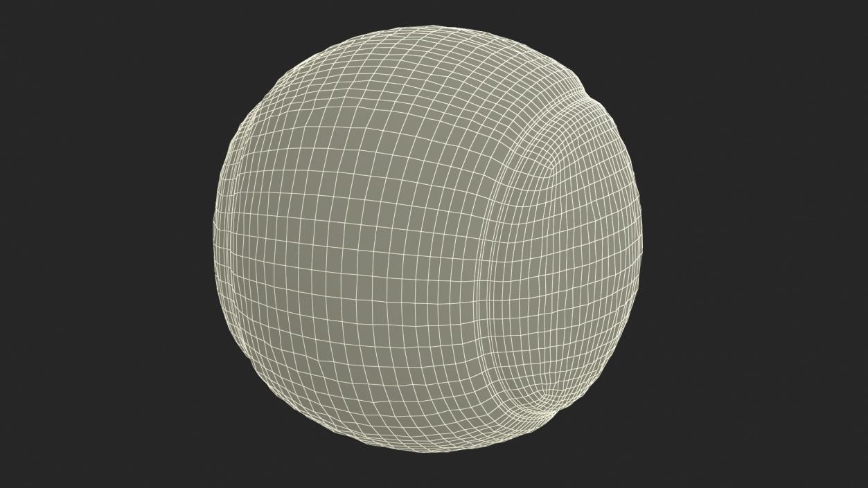 3D Tennis Ball 2 model